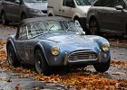 AC Cobra 287  AC Cobra 287, Tour de Paris, 50e anniversaire de la FIVA, 20 novembre 2016