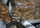 Léon Paulet 6 AB (1922)  Léon Paulet 6 AB (1922), Tour de Paris, 50e anniversaire de la FIVA, 20 novembre 2016