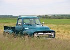 Ford F100 1955  Ford F100 1955, Aubamerican days, Aérodrome de Brienne-le-château, 26 mai 2024