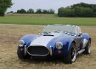 Cobra  Cobra, Aubamerican days, Aérodrome de Brienne-le-château, 24 mai 2024