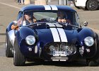Pilgrim Cobra (2003)