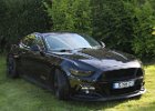 Ford Mustang V8 2017  Ford Mustang V8 2017, Auto Museum, Chatillon-Coligny (45), 14 avril 2024