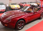 Marcos Mantaray  Marcos Mantaray, Auto Museum, Chatillon-Coligny (45), 18 mai 2023