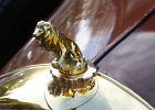 Lion Peugeot  Lion Peugeot, Monteromobile, 16 octobre 2016