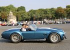 Cobra